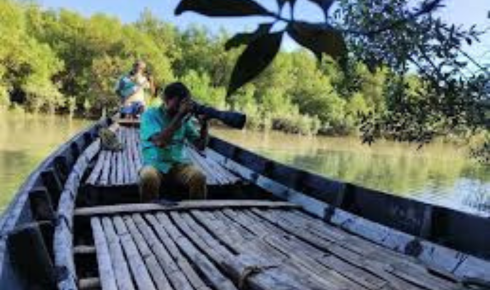 Discover the Wilderness with a Perfect Sundarban Package